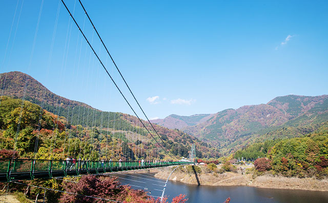 もみじ谷大吊橋　紅葉の様子
