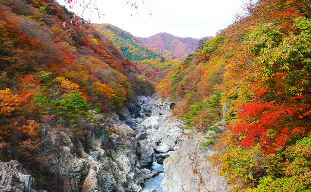 龍王峡