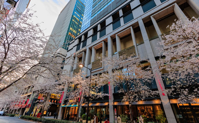 コレド室町と江戸桜通りの桜