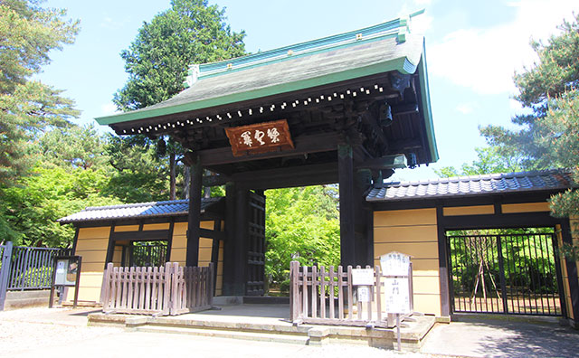 豪徳寺　山門