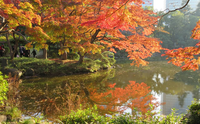 日比谷公園　紅葉 のイメージ