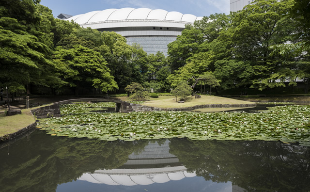 小石川後楽園　水連と東京ドームのイメージ