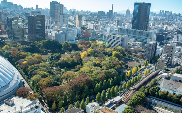 小石川後楽園 旧水戸藩徳川家上屋敷 日本庭園