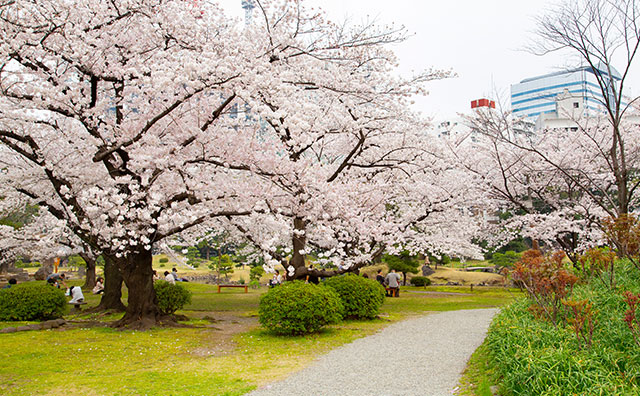 旧芝離宮恩賜庭園