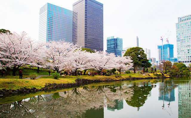 旧芝離宮恩賜庭園