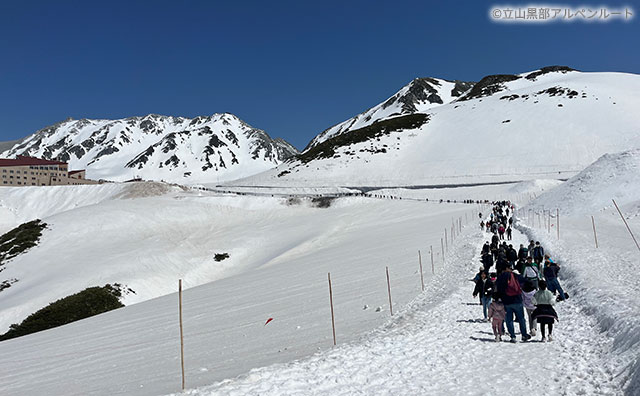 立山　パノラマロード