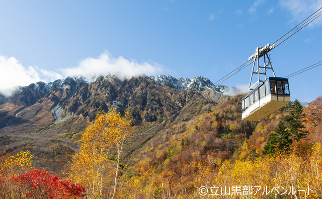 紅葉と立山ロープウェイ / ©立山黒部アルペンルート