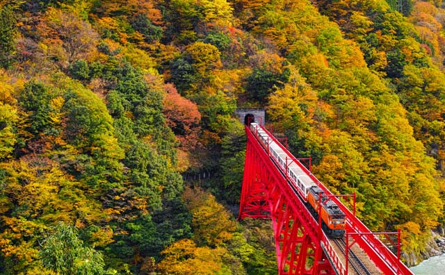 黒部峡谷トロッコ電車新山彦橋