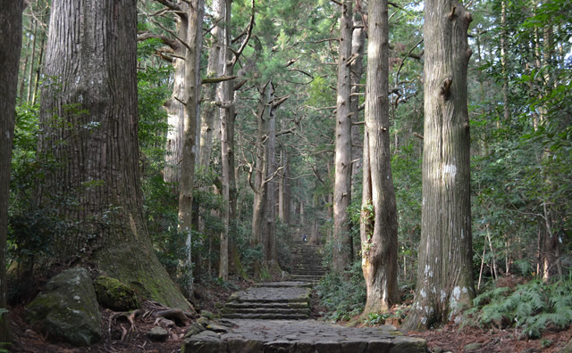 大門坂 のイメージ