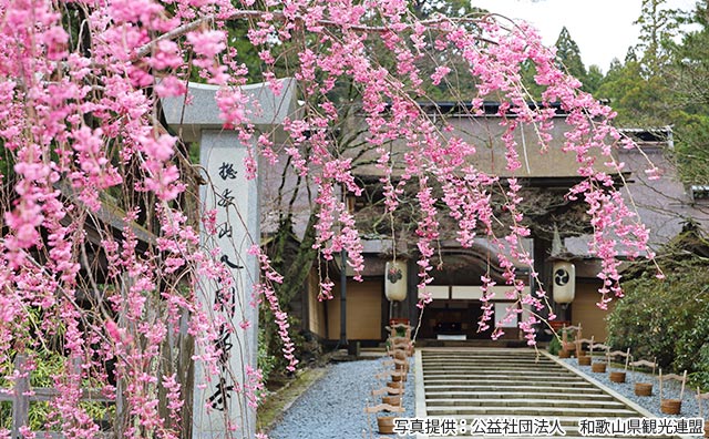 高野山　金剛峯寺