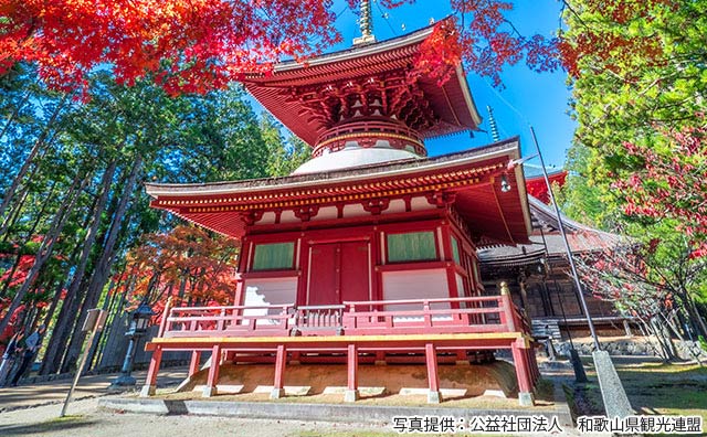 高野山　 壇上伽藍