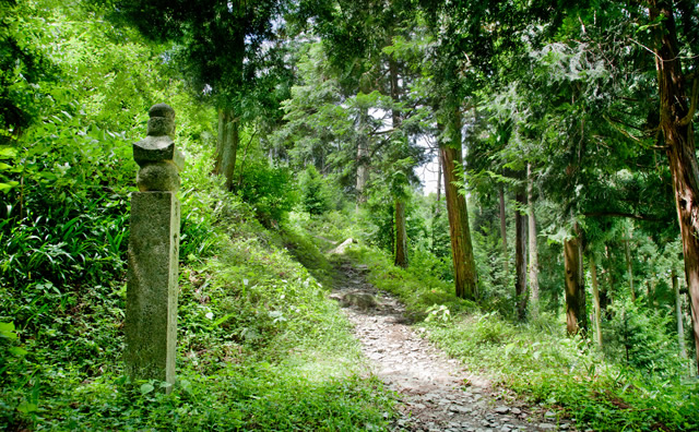 高野山町石道（写真提供：公益社団法人　和歌山県観光連盟）のイメージ