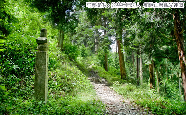 高野山町石道（写真提供：公益社団法人　和歌山県観光連盟）のイメージ