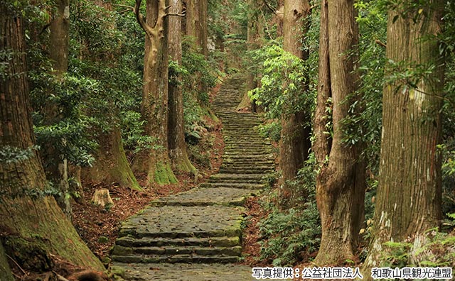 大門坂（写真提供：公益社団法人　和歌山県観光連盟）