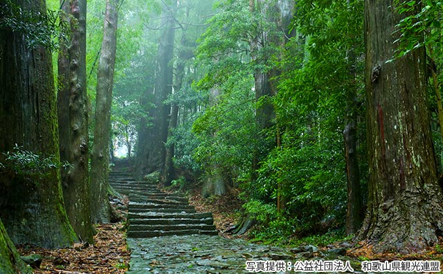 大門坂（写真提供：公益社団法人　和歌山県観光連盟）