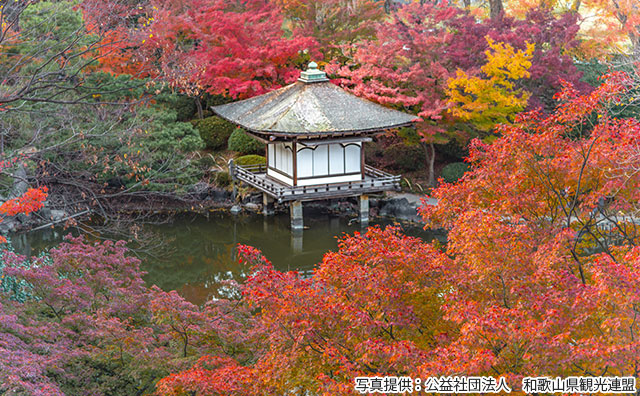 和歌山城　紅葉渓庭園（西之丸庭園）