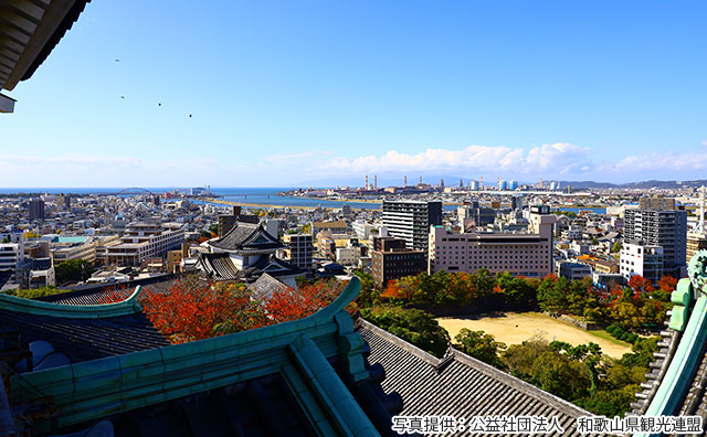 天守閣からの眺望
