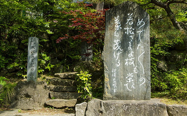 若松寺　「めでためでたの若松様」の碑のイメージ