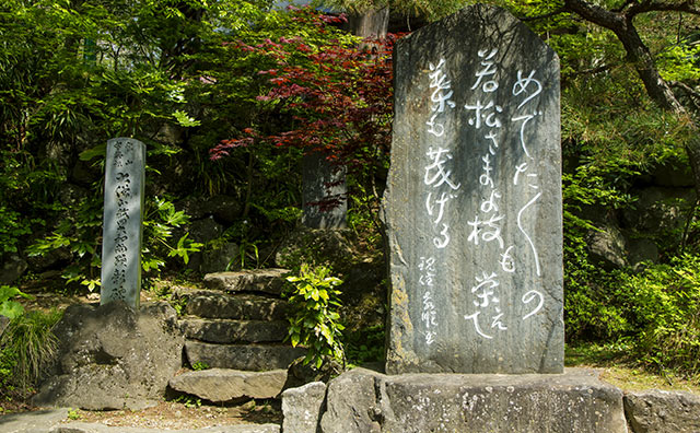 若松寺　「めでためでたの若松様」の碑