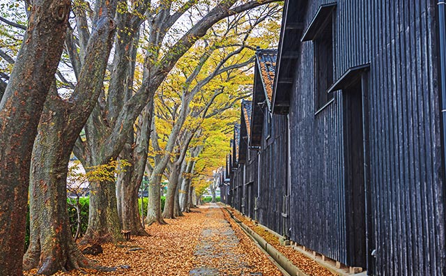 山居倉庫