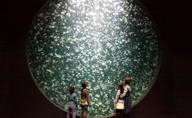 鶴岡市立加茂水族館　クラゲドリームシアターのイメージ