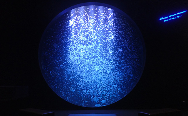 幻想的なクラゲの世界を楽しもう！東北エプソンアクアリウムかもすい（鶴岡市立加茂水族館）入館券付きプラン