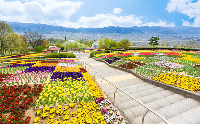 笛吹川フルーツ公園