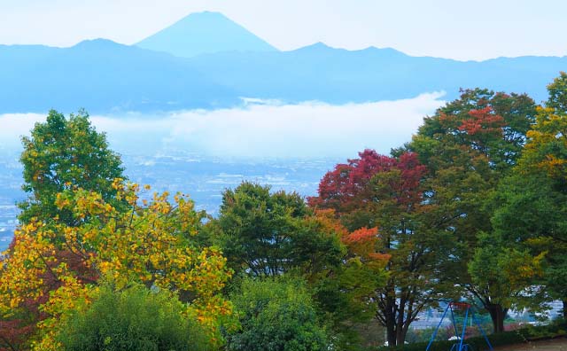 笛吹川フルーツ公園 紅葉