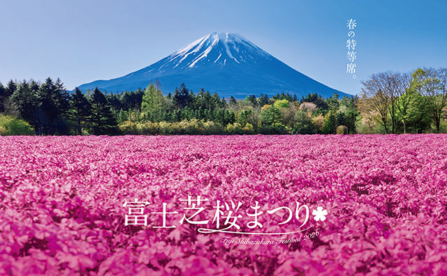 富士芝桜まつりへ行こう！富士芝桜ライナー往復乗車券＆入園券付きプラン