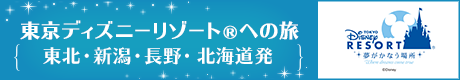 東京ディズニーリゾートへの旅