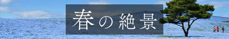 春の絶景　バナー