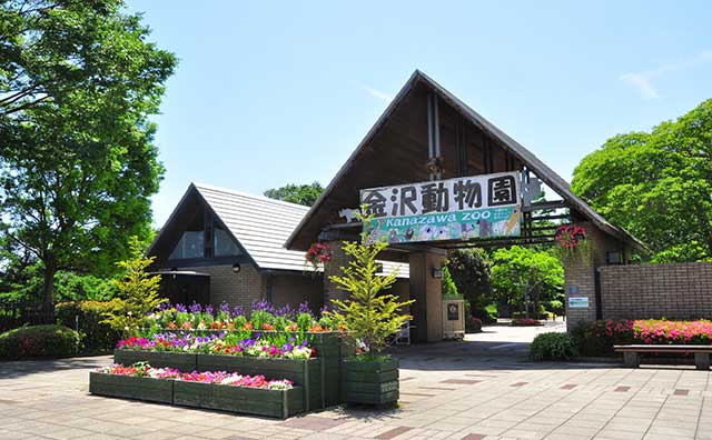 金沢動物園