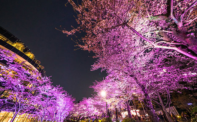 東京ミッドタウン