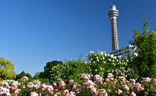 横浜マリンタワーのイメージ