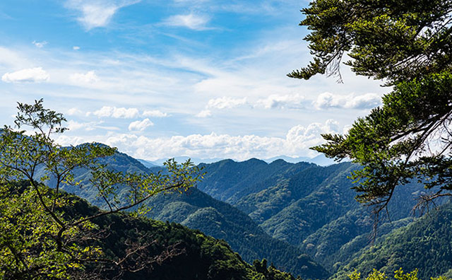 夏の高尾山