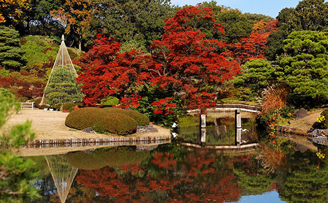 六義園の紅葉