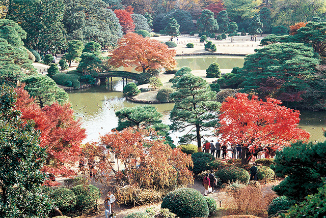 六義園（りくぎえん）
