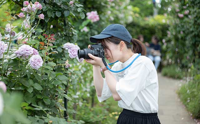 アート・自然が楽しめる女子旅向け横浜観光スポット3選