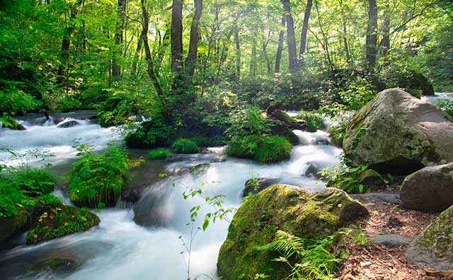 観光の際には要チェック！宮城県の特徴やおすすめのスポットをご紹介！奥入瀬渓流のイメージ