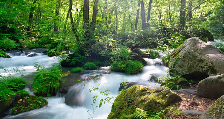 青森県の観光の魅力って？青森観光で押さえておきたいおすすめポイントをチェック