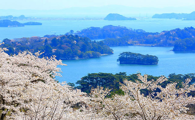 観光の際には要チェック！宮城県の特徴やおすすめのスポットをご紹介！の記事イメージ