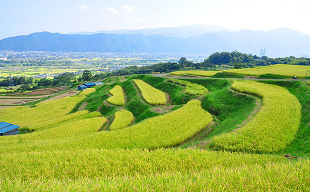 絶景 スポット 日本