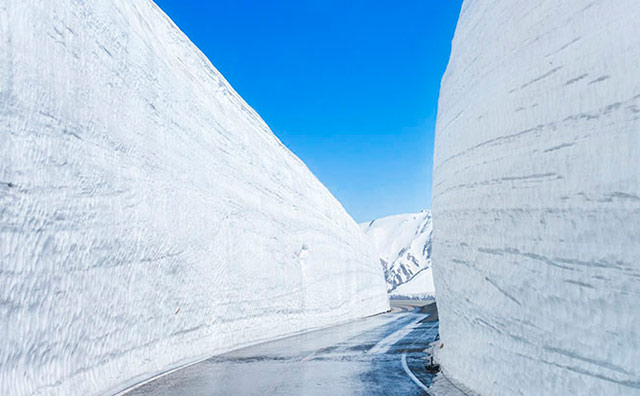 雪の大谷