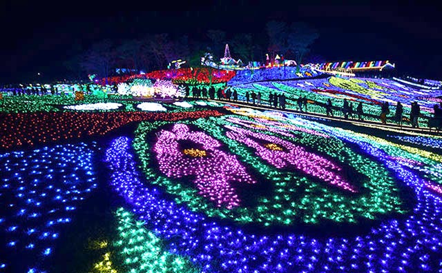 東京ドイツ村 イルミネーション 2017年