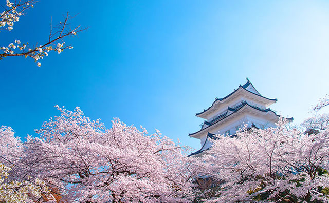 近年ブームになっている城めぐり！ 城めぐりの見どころや日本の名城をご紹介！記事のイメージ