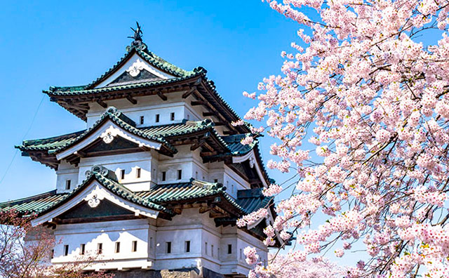 弘前公園の桜