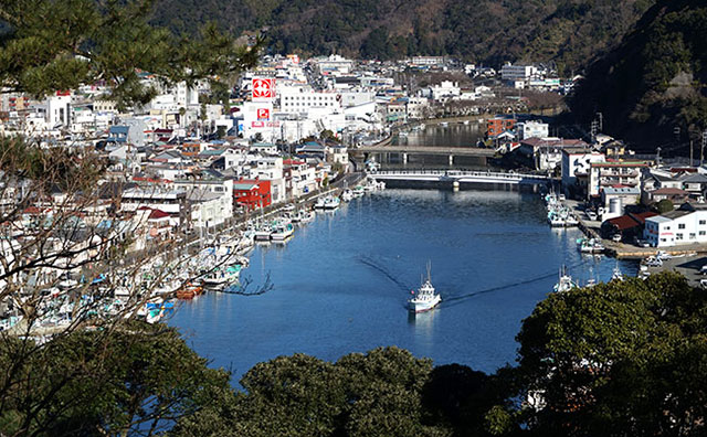 宿泊でも日帰りでも楽しめる！ 魅力あふれる伊豆旅行のイメージ