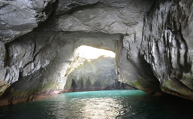 西伊豆エリア　堂ヶ島