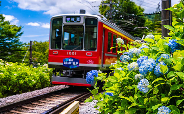 箱根登山電車
