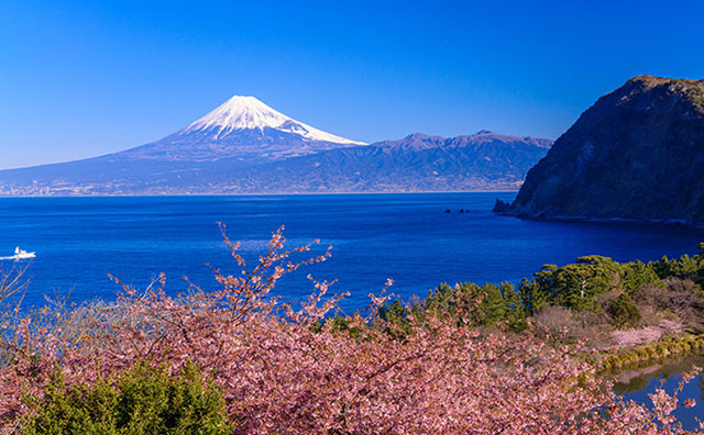 豊富な自然が魅力的な伊豆！4つのエリアを知って伊豆旅行を満喫しよう！の記事イメージ